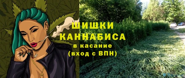 спайс Алзамай