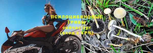 спайс Алзамай