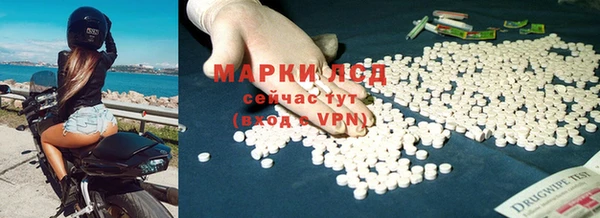 спайс Алзамай