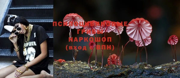 винт Алексин