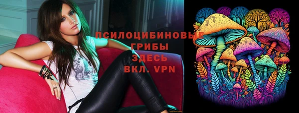 винт Алексин